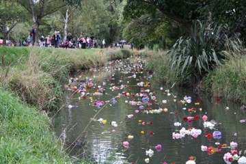 Flowers in the Avon River near The Princess Margaret Hospital.