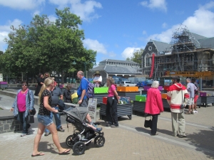 Members of the public admiring the planter boxes on the first day of the 2014 Festival of Flowers.